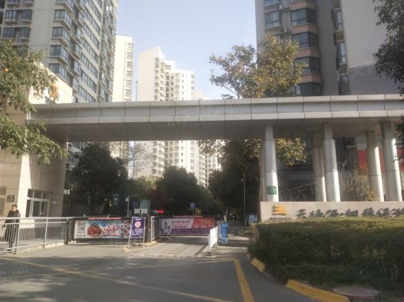 楓林綠洲